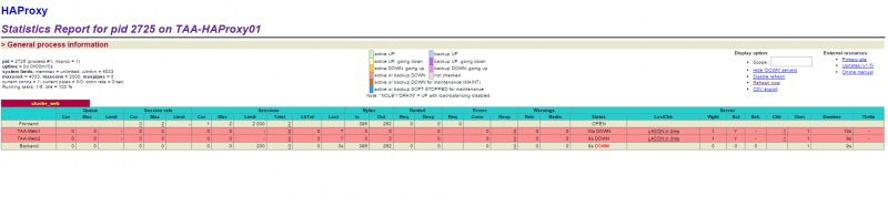 ファイル:HAProxyStats.png