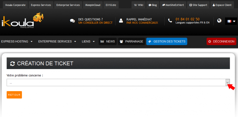 ファイル:Ouvrirticket 05 choisir prestation.png